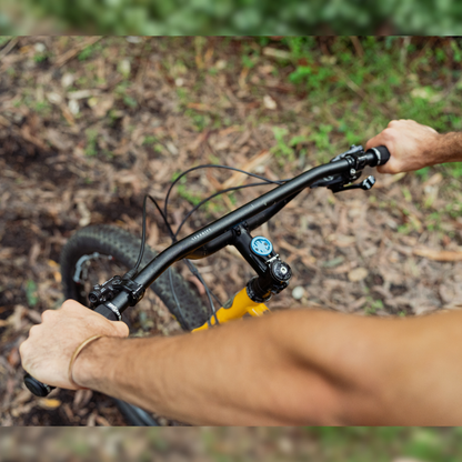 Top Shelf Flat Handlebar